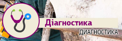 Діагностика Діагностика